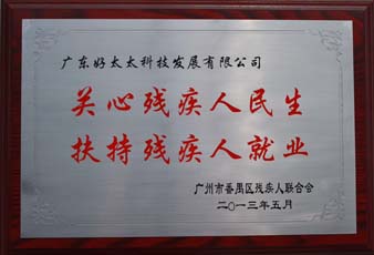 开云线上官网（中国）官方网站,荣获“2012年番禺区残疾人就业年审工作突出用人单位”